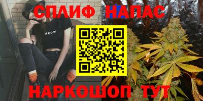 шишки Коммунар