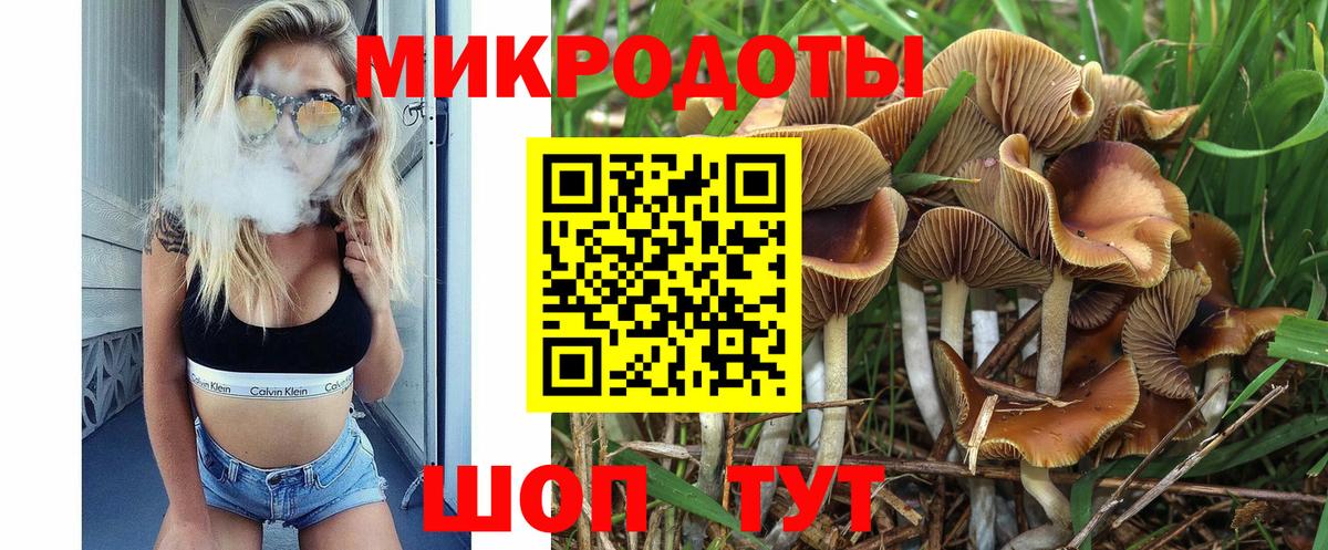 Псилоцибиновые грибы Magic Shrooms Коркино