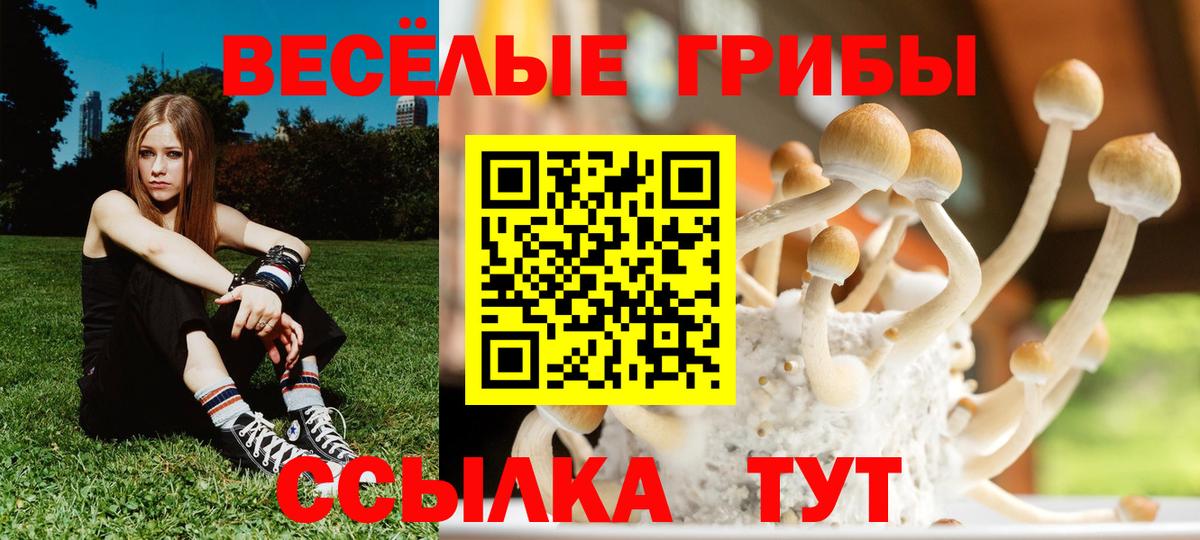Коркино  Псилоцибиновые грибы ЛСД  Вход с VPN 