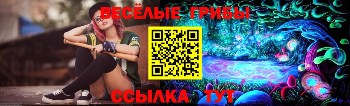 НБОМе Коркино